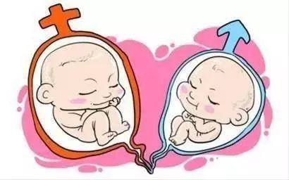 有偿试管代妈机构生殖中心
